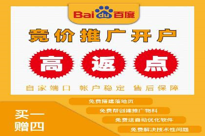 百度竞价排名机制：成功案例与策略探讨